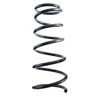 Fahrwerksfeder-Set SPIDAN für FIAT SEDICI (189_)