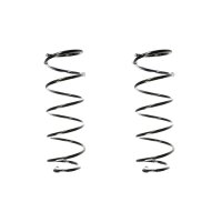 Fahrwerksfeder-Set SPIDAN für PEUGEOT 406 (8B)