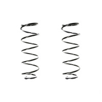 Fahrwerksfedern-Set Spiralfeder SPIDAN für u.a....