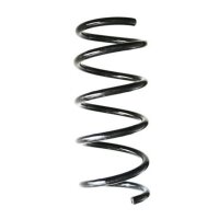 Fahrwerksfeder-Set hinten Schraubenfeder 264mm SPIDAN...