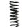 Fahrwerksfeder-Set hinten Schraubenfeder 350mm SPIDAN für MERCEDES 123