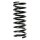 Suspension spring set rear coil spring 350mm SPIDAN for MERCEDES 123