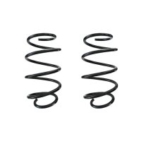 Fahrwerksfeder-Set vorne Schraubenfeder 289mm SPIDAN...