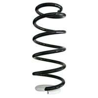 Fahrwerksfeder-Set vorne Schraubenfeder 338mm SPIDAN...