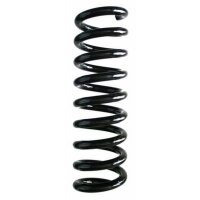 Fahrwerksfeder-Set hinten Schraubenfeder 319mm SPIDAN...