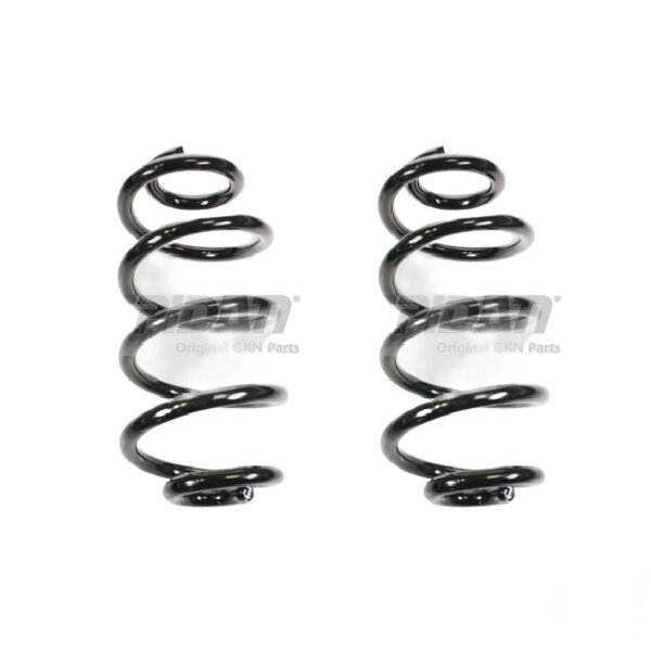 Suspension spring set front coil spring 316mm SPIDAN for FORD FIESTA VI