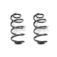 Fahrwerksfeder-Set vorne Schraubenfeder 316mm SPIDAN...