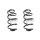 Fahrwerksfeder-Set vorne Schraubenfeder 316mm SPIDAN für FORD FIESTA VI