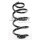 Fahrwerksfeder-Set vorne Schraubenfeder 316mm SPIDAN für FORD FIESTA VI