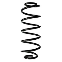 Fahrwerksfeder-Set hinten Schraubenfeder 317mm SPIDAN...