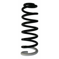 Fahrwerksfeder-Set hinten Schraubenfeder 324mm SPIDAN...