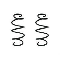 Fahrwerksfeder-Set vorne Schraubenfeder 311mm SPIDAN...