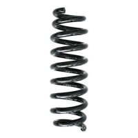 Fahrwerksfeder-Set hinten Schraubenfeder 316mm SPIDAN...