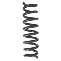 Fahrwerksfeder-Set hinten Schraubenfeder 321mm SPIDAN...