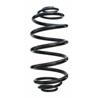 Fahrwerksfeder-Set hinten Schraubenfeder 302mm SPIDAN...