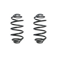 Suspension spring set rear coil spring 302mm SPIDAN for...