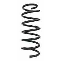 Fahrwerksfeder-Set vorne Schraubenfeder 315mm SPIDAN...