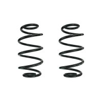 Fahrwerksfeder-Set hinten Schraubenfeder 278mm SPIDAN...