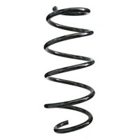 Fahrwerksfeder-Set vorne Schraubenfeder 344mm SPIDAN...