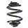 Fahrwerksfeder-Set hinten Schraubenfeder 255mm SPIDAN für VW TRANSPORTER T3