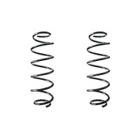 Suspension spring set rear coil spring 363mm SPIDAN for...