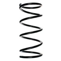 Fahrwerksfeder-Set vorne Schraubenfeder 344mm SPIDAN...