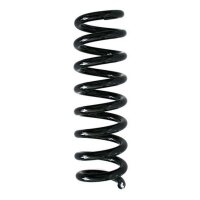 Fahrwerksfeder-Set hinten Schraubenfeder 313mm SPIDAN...