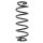 Fahrwerksfeder-Set hinten Schraubenfeder 294mm SPIDAN für VW POLO IV