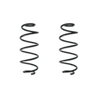 Fahrwerksfeder-Set hinten Schraubenfeder 300mm SPIDAN...