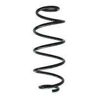 Fahrwerksfeder-Set hinten Schraubenfeder 300mm SPIDAN...
