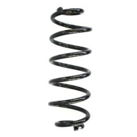 Fahrwerksfeder-Set hinten Schraubenfeder 318mm SPIDAN...