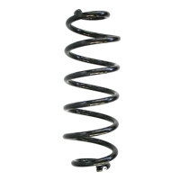 Fahrwerksfedern-Set hinten Schraubenfeder 318mm SPIDAN...