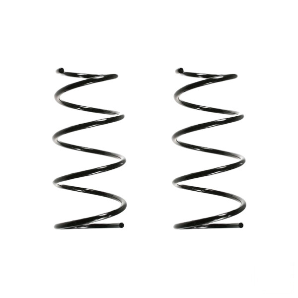 Suspension spring set Replacement Fit SPIDAN for RENAULT MEGANE I