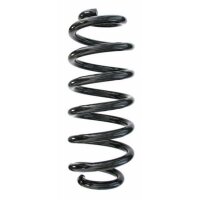 Fahrwerksfeder-Set hinten Schraubenfeder 302mm SPIDAN...