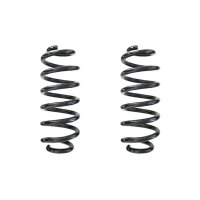 Suspension spring set rear coil spring 302mm SPIDAN for...