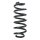 Suspension spring set rear coil spring 302mm SPIDAN for VW PASSAT B6