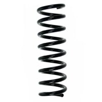 Fahrwerksfeder-Set hinten Schraubenfeder 326mm SPIDAN...