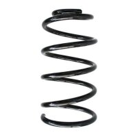 Fahrwerksfeder-Set vorne Schraubenfeder 299mm SPIDAN...