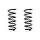 Fahrwerksfeder-Set hinten Schraubenfeder 311mm SPIDAN für AUDI A6 C5