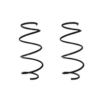 Suspension spring set front coil spring 319mm SPIDAN for...