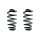 Fahrwerksfeder-Set hinten Schraubenfeder 281mm SPIDAN für AUDI A4 B7