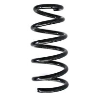 Fahrwerksfeder-Set hinten Schraubenfeder 268mm SPIDAN...