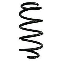 Fahrwerksfeder-Set vorne Schraubenfeder 313mm SPIDAN...