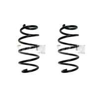 Suspension spring set front coil spring 320mm SPIDAN for...