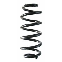 Fahrwerksfeder-Set hinten Schraubenfeder 269mm SPIDAN...