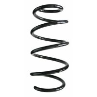 Fahrwerksfeder-Set vorne Schraubenfeder 303mm SPIDAN...