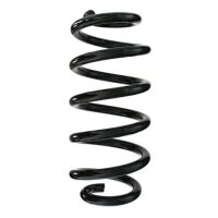 Fahrwerksfeder-Set hinten Schraubenfeder 258mm SPIDAN...