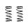 Fahrwerksfeder-Set hinten Schraubenfeder 243mm SPIDAN für DAIHATSU CUORE IV