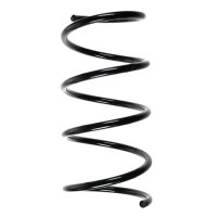 Fahrwerksfedern-Set vorne Schraubenfeder 309mm SPIDAN...