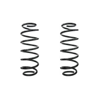 Fahrwerksfeder-Set hinten Schraubenfeder 325mm SPIDAN...